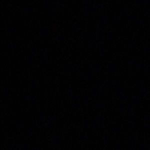 Meet your Posher, Adison